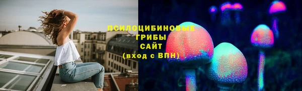 соль ск Приозерск