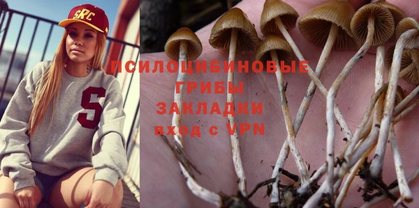 экстази Арсеньев